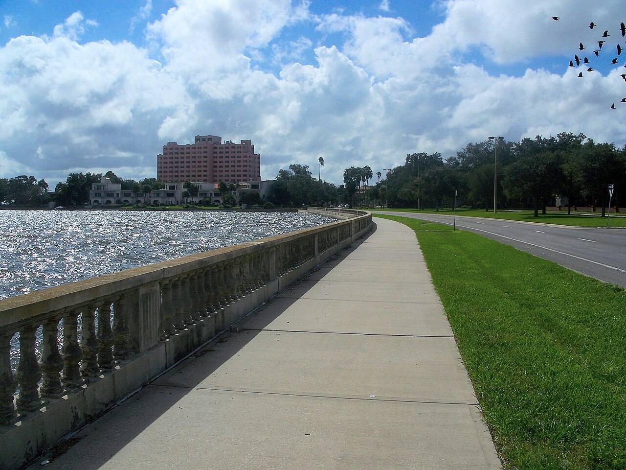 South Tampa neighbourhood in Tampa