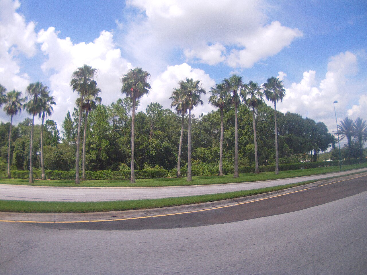 New Tampa neighbourhood in Tampa