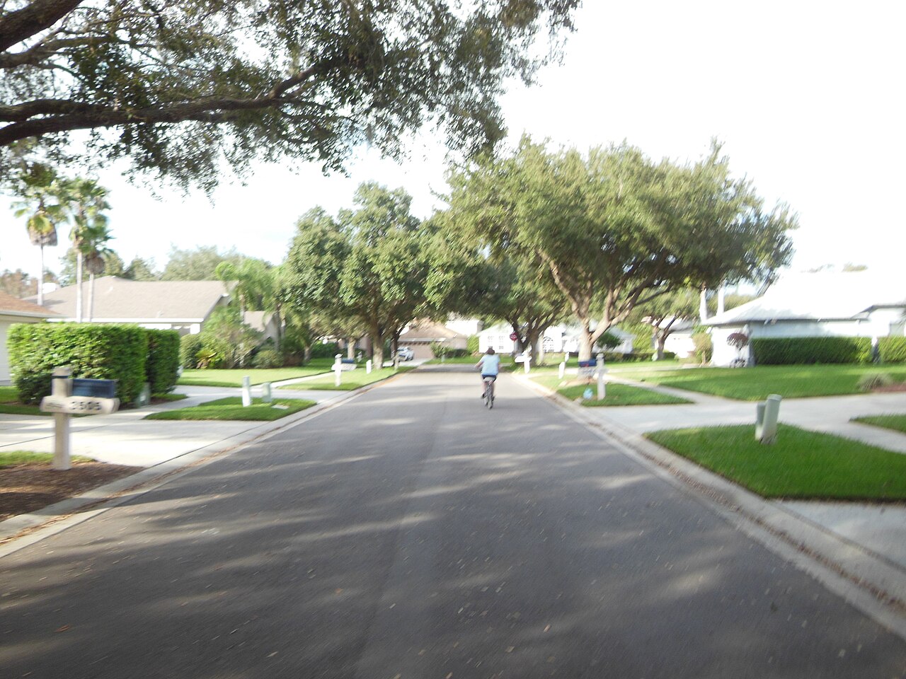 Valrico neighbourhood in Tampa