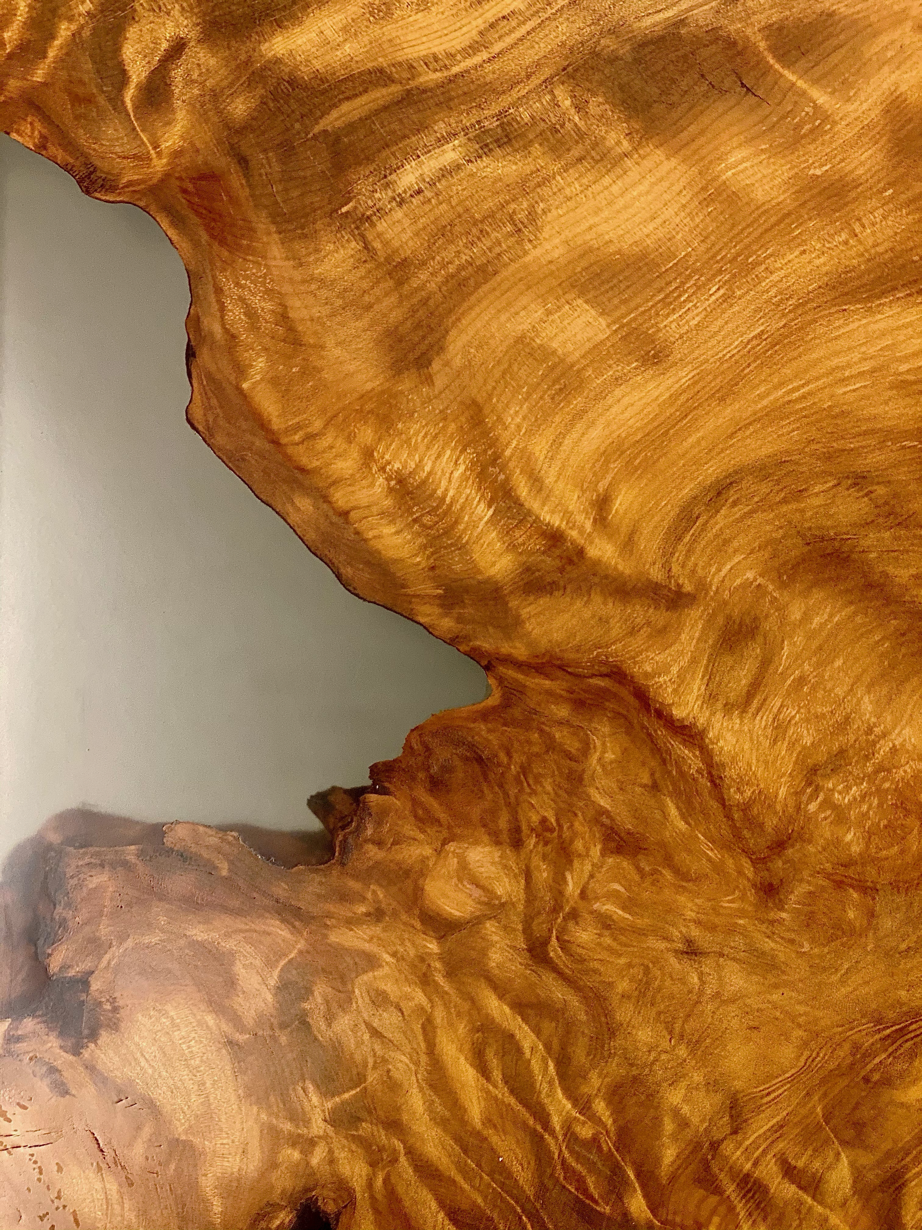 Sustainable Kauri
