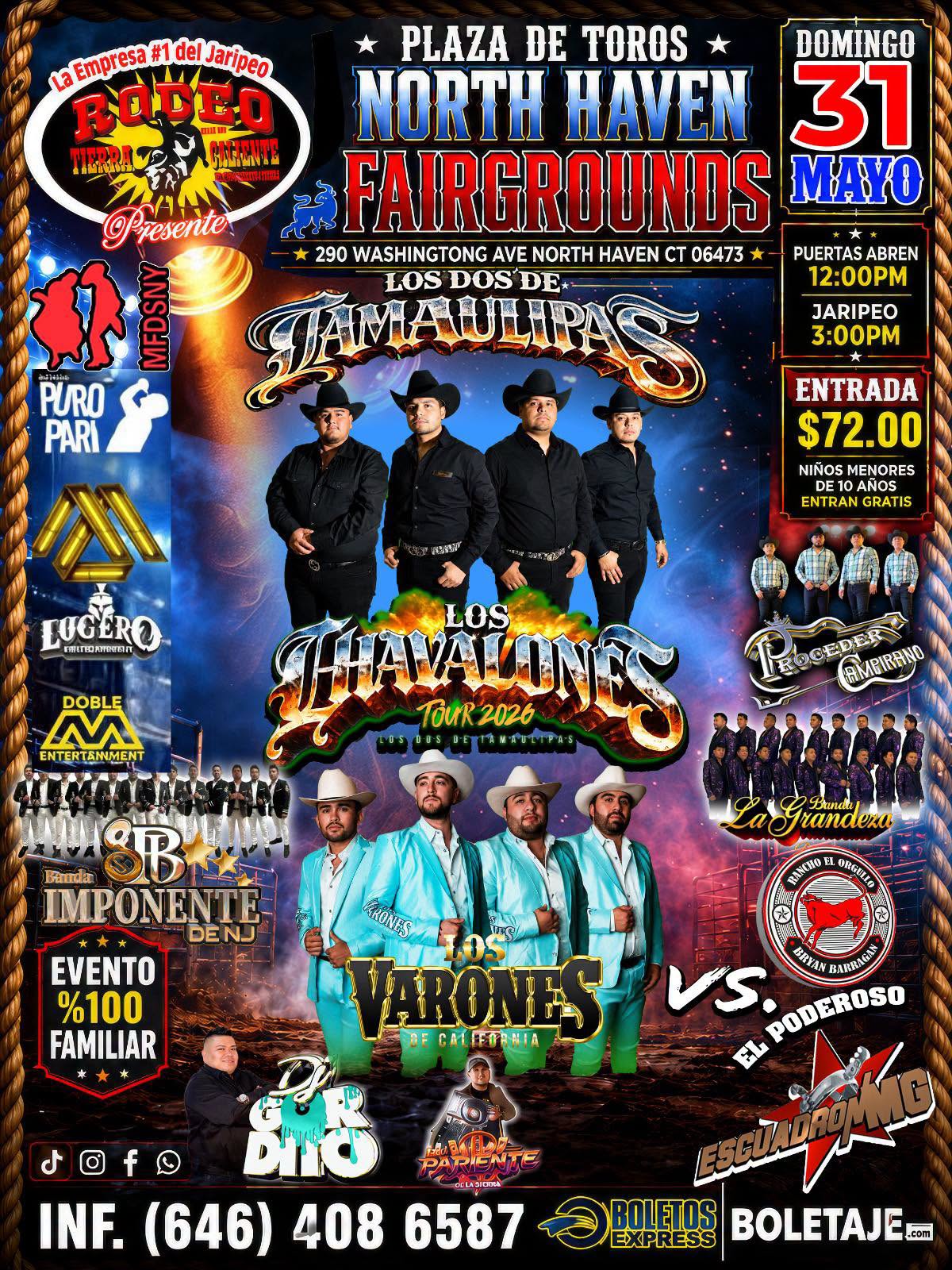 Poster Image Reference