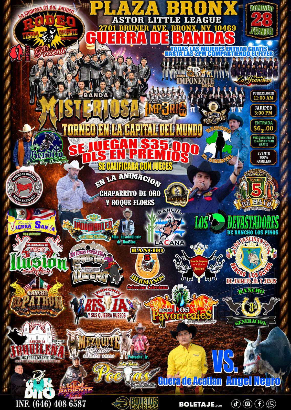 Poster Image Reference
