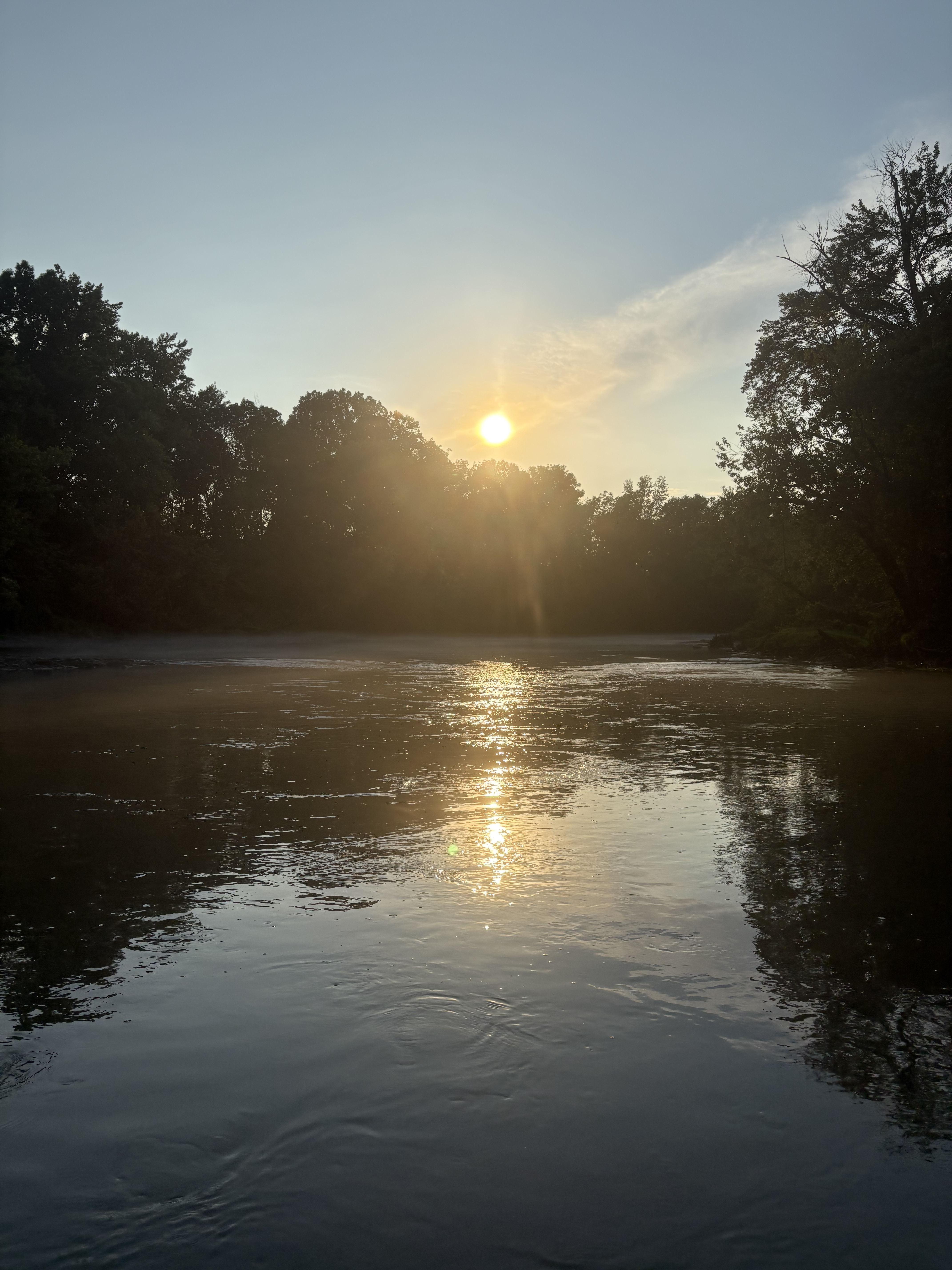 Summer fishing on the Little Red River with lush green vegetation along the banks