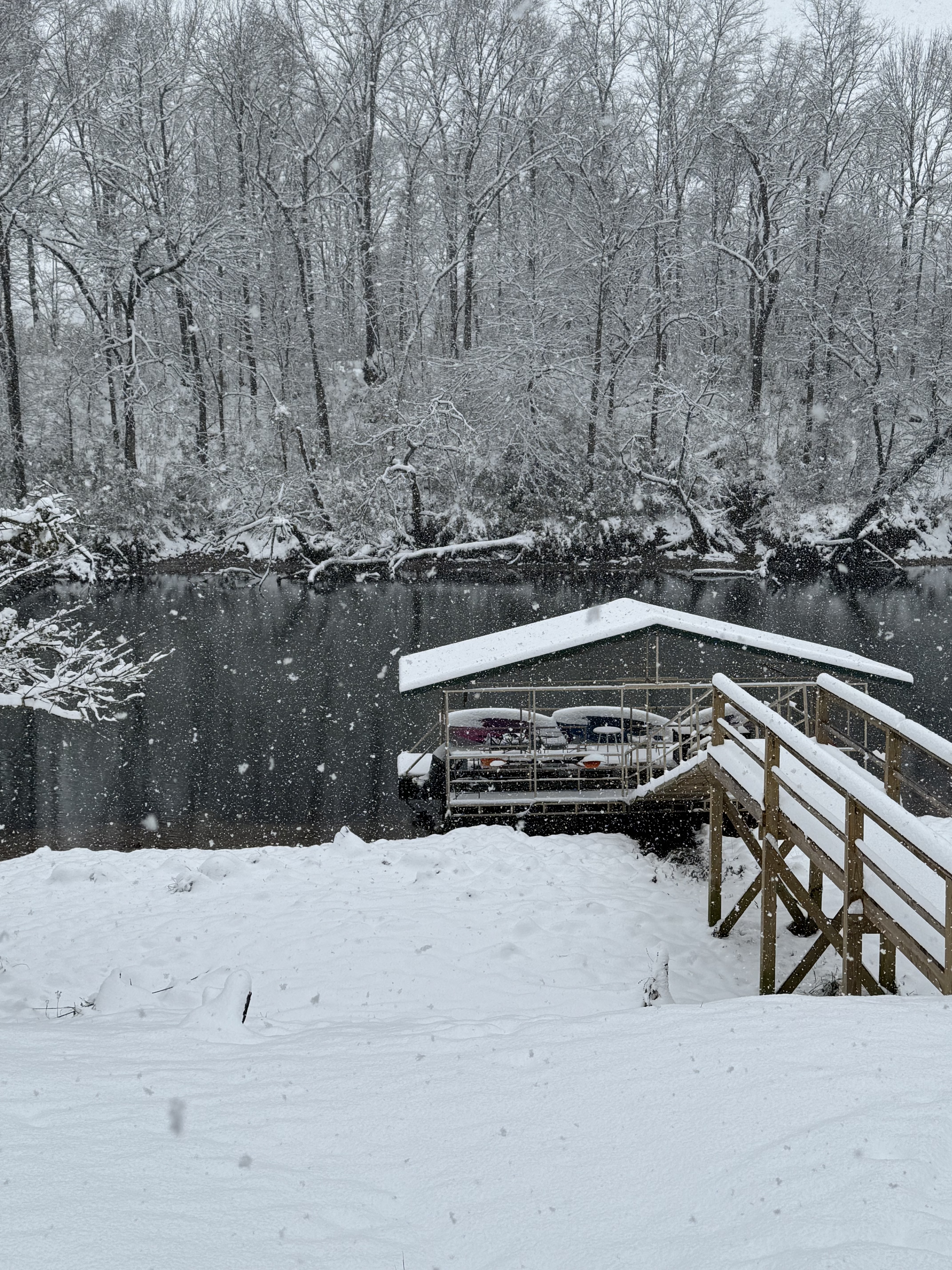 Winter fishing on Little Red River with bare trees and cold clear water ideal for midge fishing