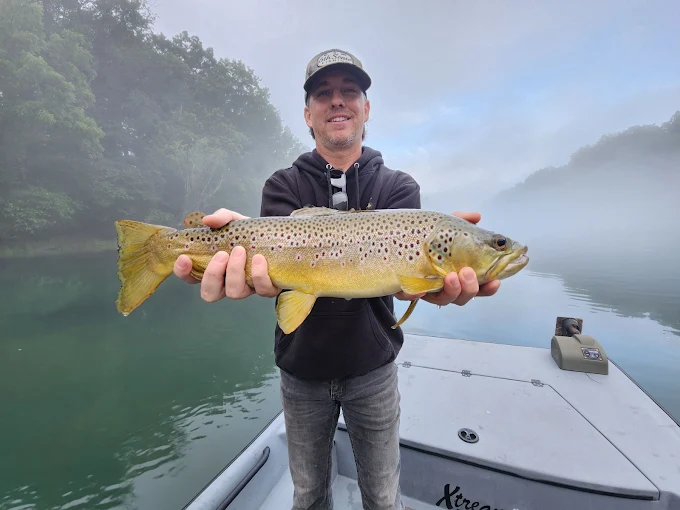 Angler holding 8-pound brown trout caught on Little Red River
