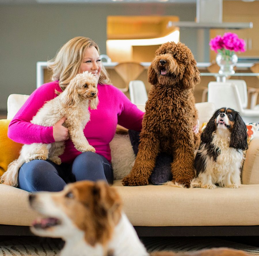 Jennifer Makeeff on a sofa with five dogs from her pet services company