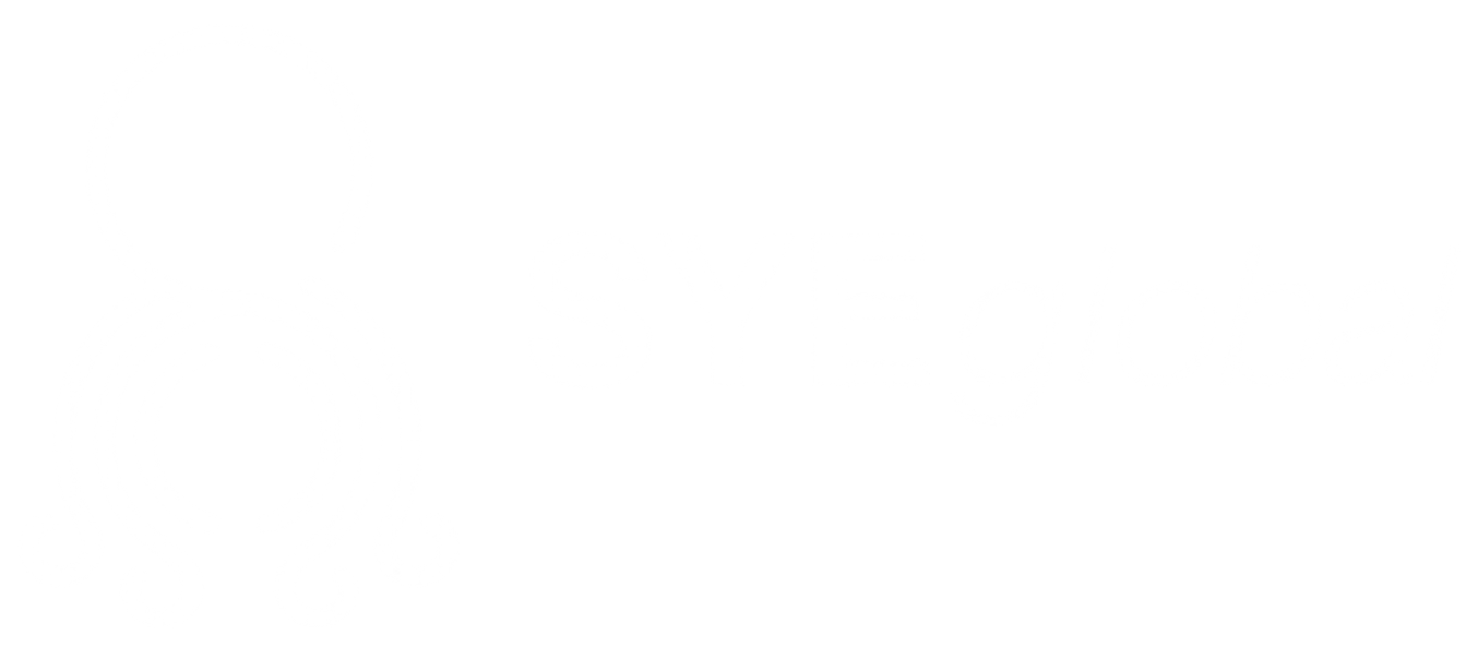 SYE Global Consultores - Propiedad Intelectual