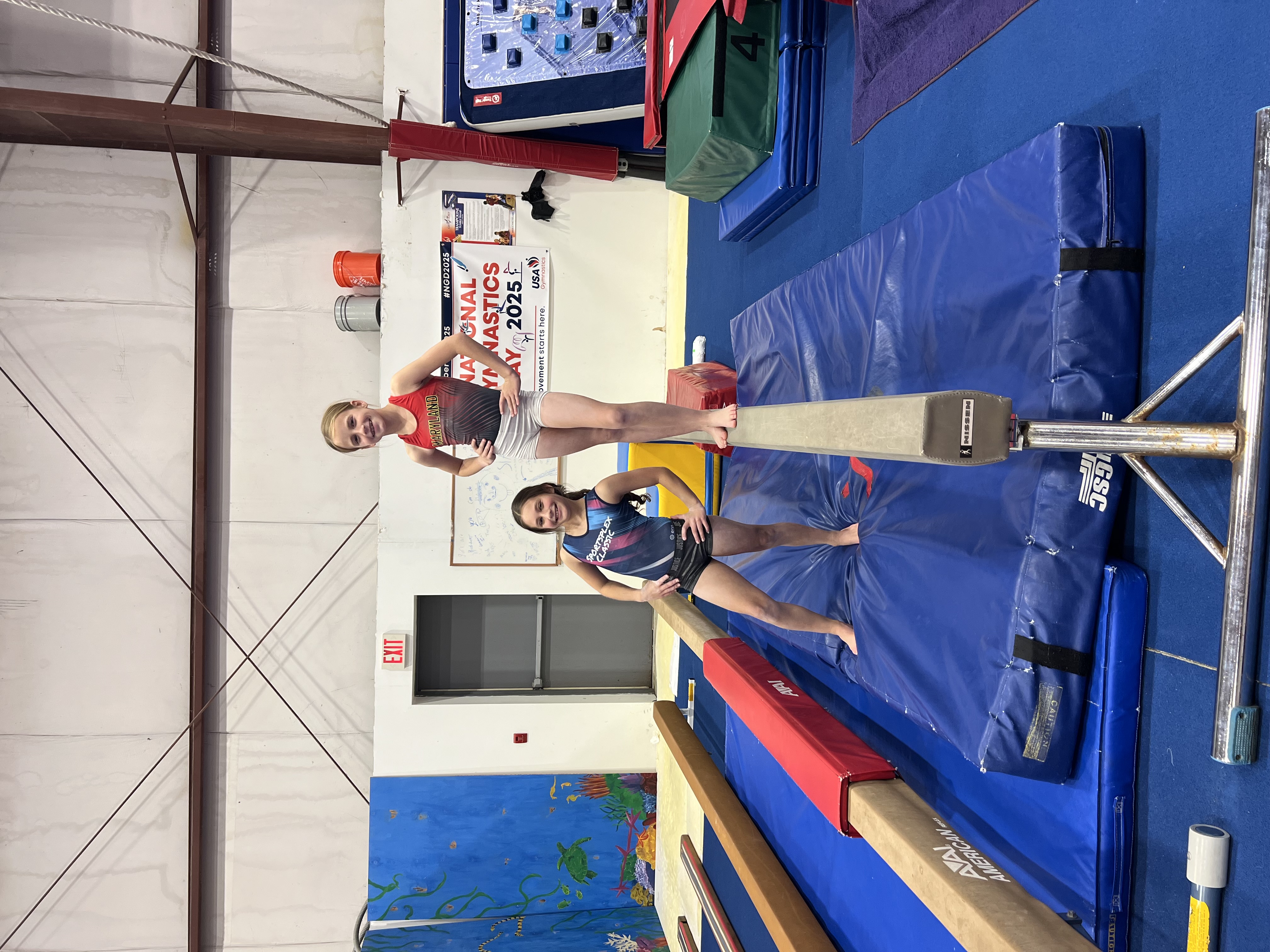 Gymnastics Chalk