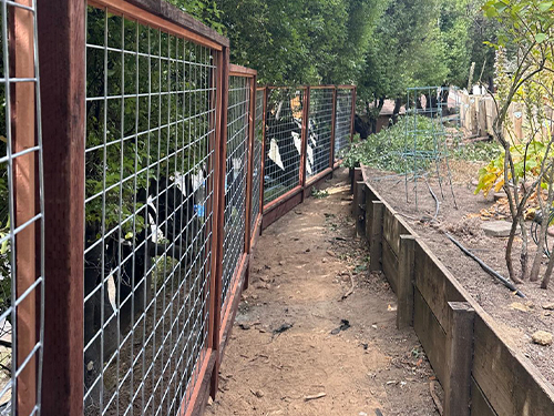 Vinyl, Wood & Ornamental Fencing