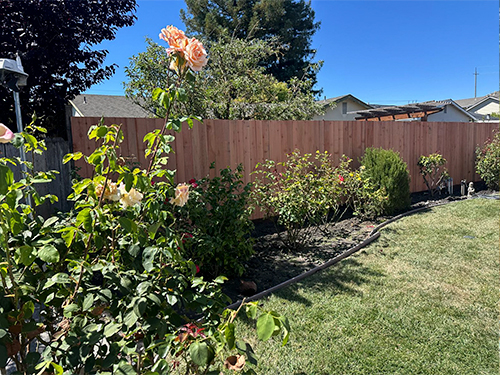Fence Installation & Repair 