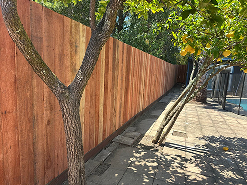 Deck Installation & Repair Petaluma