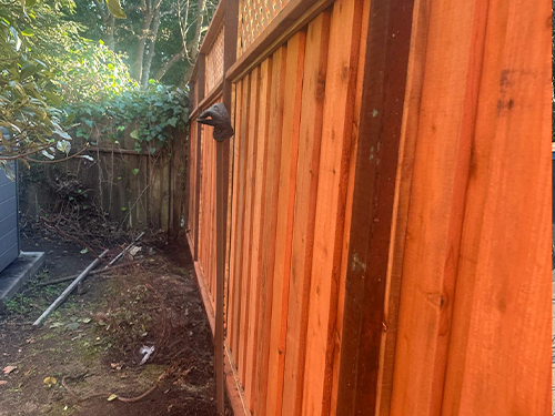 Petaluma Fence Installation & Repair