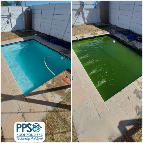 Before and after of a green pool clean up in Benoni by Pool Pond Spa