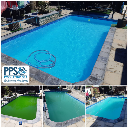 Benoni swimming pool transformed from green to clean by Pool Pond Spa, step by step