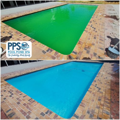 Green swimming pool restored to clear blue water in Benoni, before and after