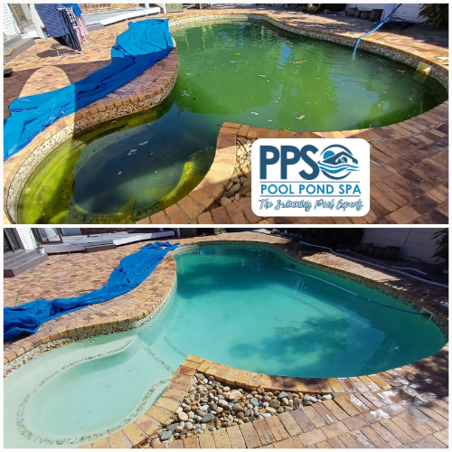 Neglected green pool restored to clean blue water in Benoni