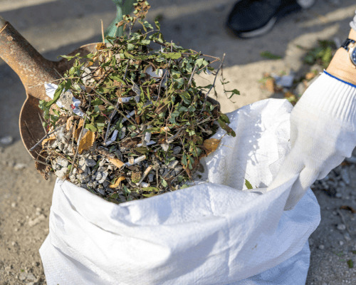  Trash Removal