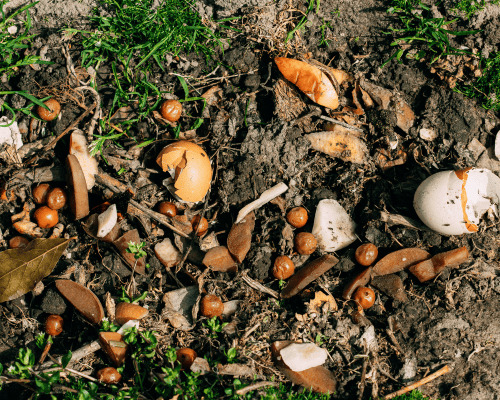 Allegan County Landscape Material Removal
