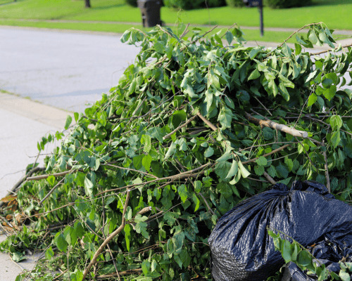  Trash Removal