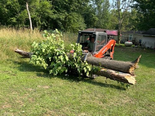Kalamazoo County Yard Waste Removal