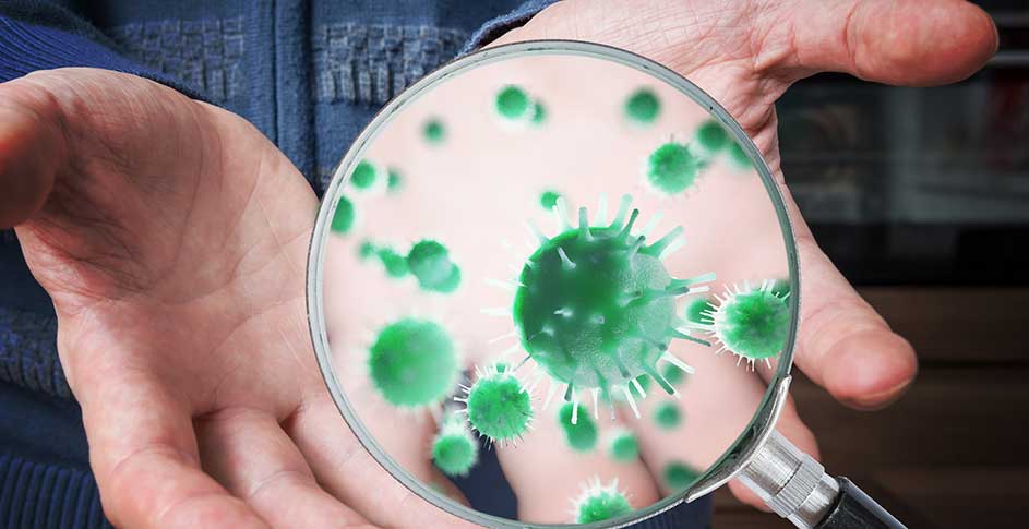 Mold inspection in Santa Barbara home