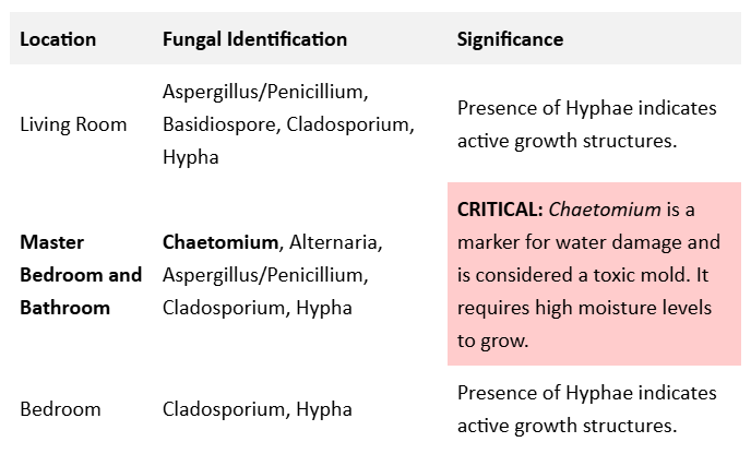 Mold test report sample page 3
