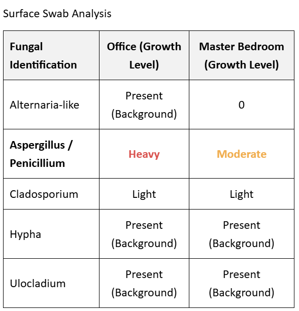 Mold test report sample page 2