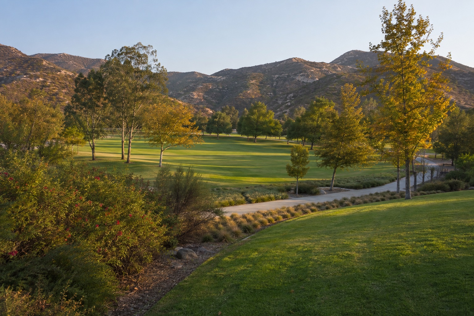 Explore the Saugus community guide