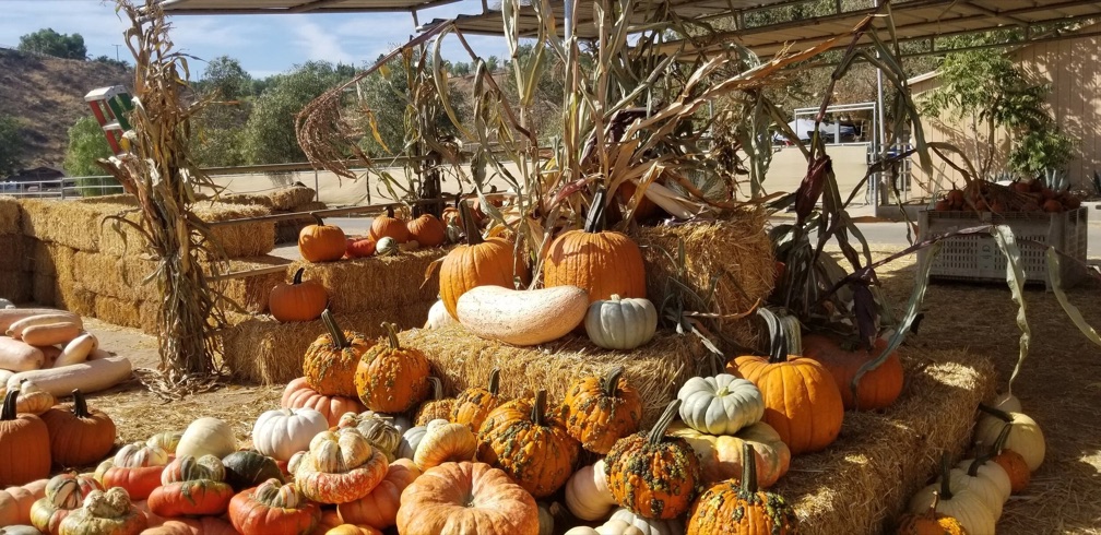 Pumpkins and fall decorations at Gilchrist Farm