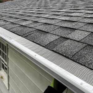 Gutter Guards & Leaf Protection