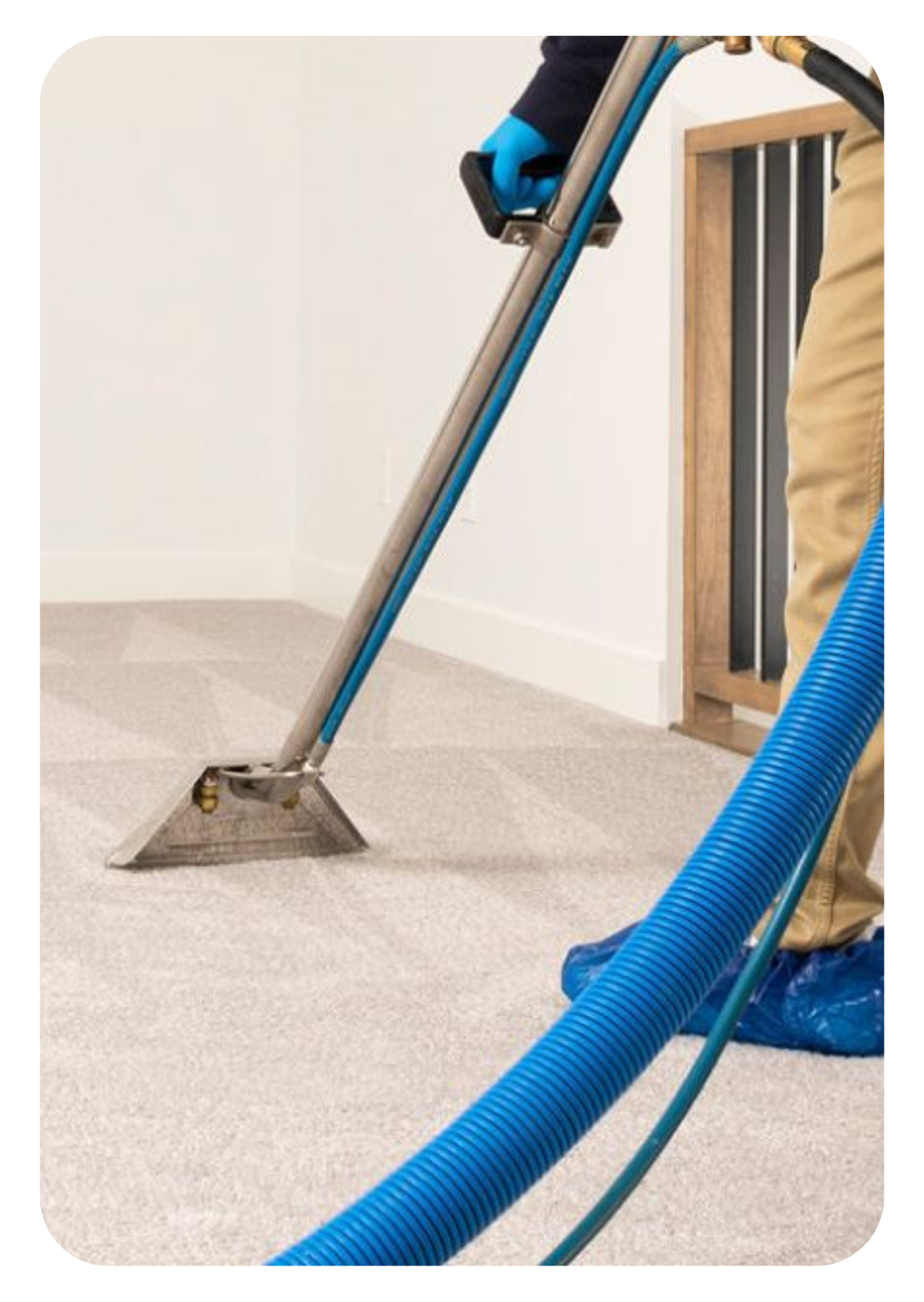 Carpet Cleaning