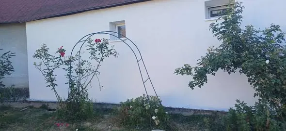 A képen egy világos színű ház falát látjuk, amely Győr városában található. Az épület mellett rózsák díszlenek, melyek egy íves rózsaív köré nőnek. A kert rendezett, a fű zöldellő, ami szép kontrasztot alkot a ház fehér falával. A Farkas-Konstrukt Kft. generálkivitelezési projektje jól tükrözi a gondosan megtervezett és kivitelezett környezetet.
