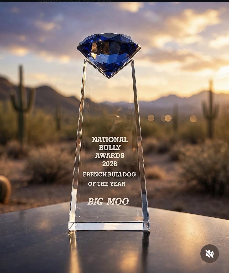 Big Moo's official 2026 National Bully Awards French Bulldog of the Year trophy. The crystal award features a blue diamond-shaped top and an engraving recognizing Big Moo as the winner. Photographed against the Tucson, Arizona desert at sunset, the trophy celebrates his championship achievement. Big Moo's official 2026 National Bully Awards French Bulldog of the Year trophy. The crystal award features a blue diamond-shaped top and an engraving recognizing Big Moo as the winner. Photographed against the Tucson, Arizona desert at sunset, the trophy celebrates his championship achievement.