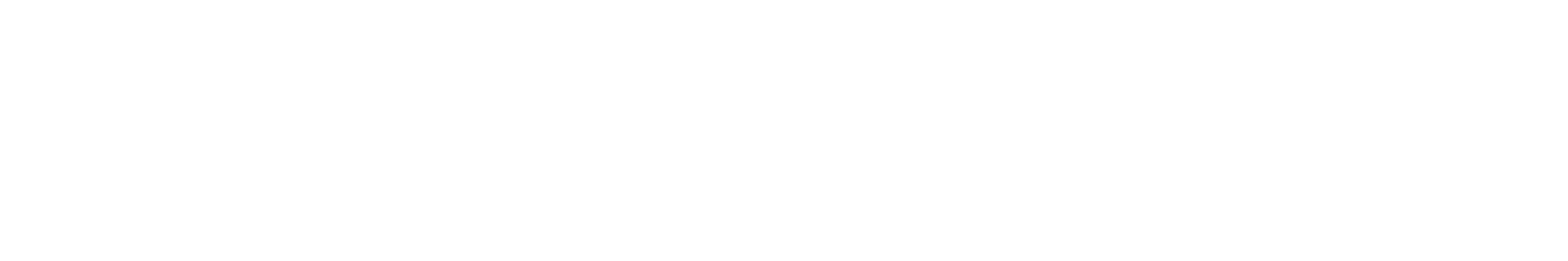 Nu Web Order Logo