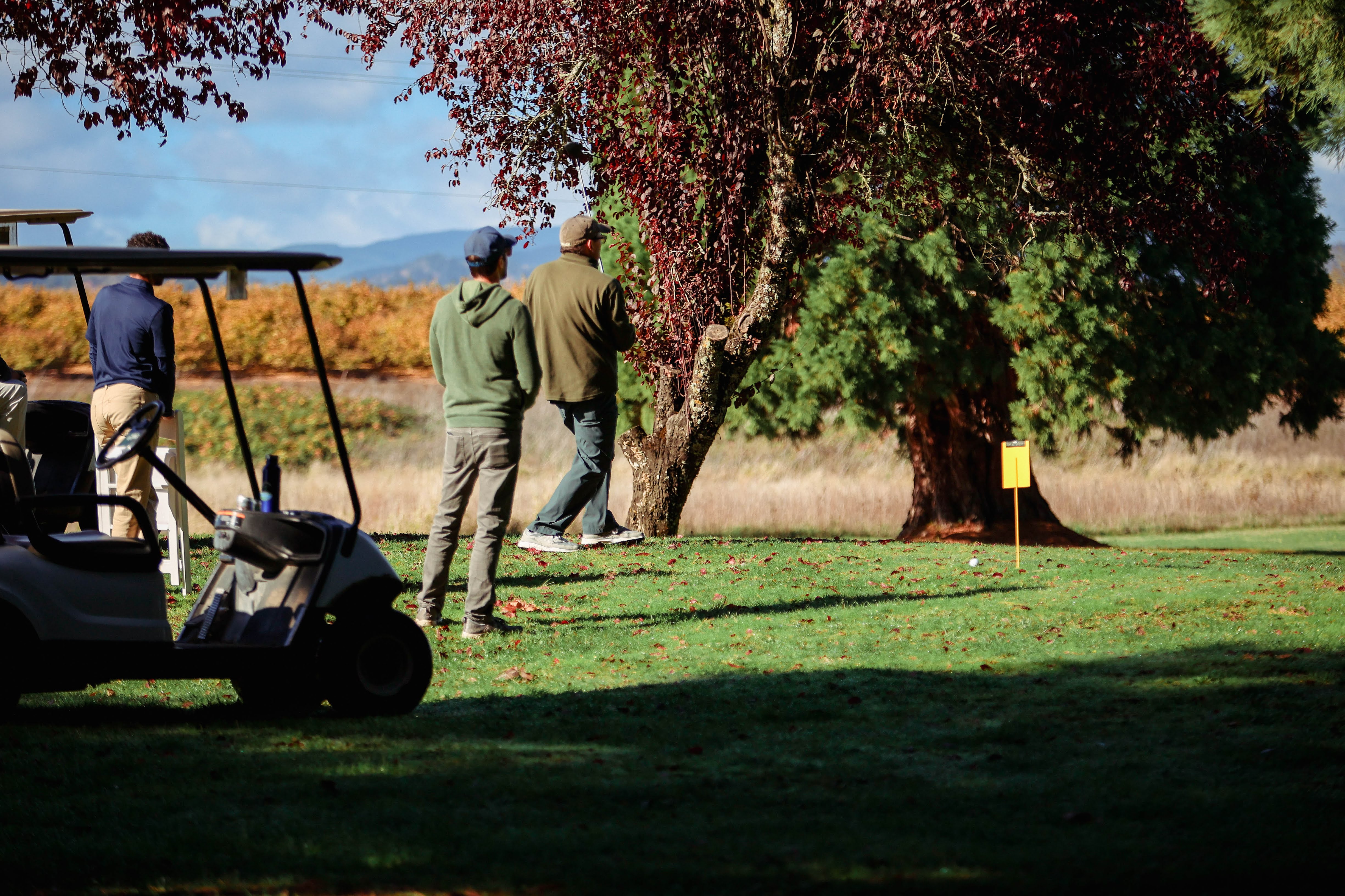 Autumn trees on golf course