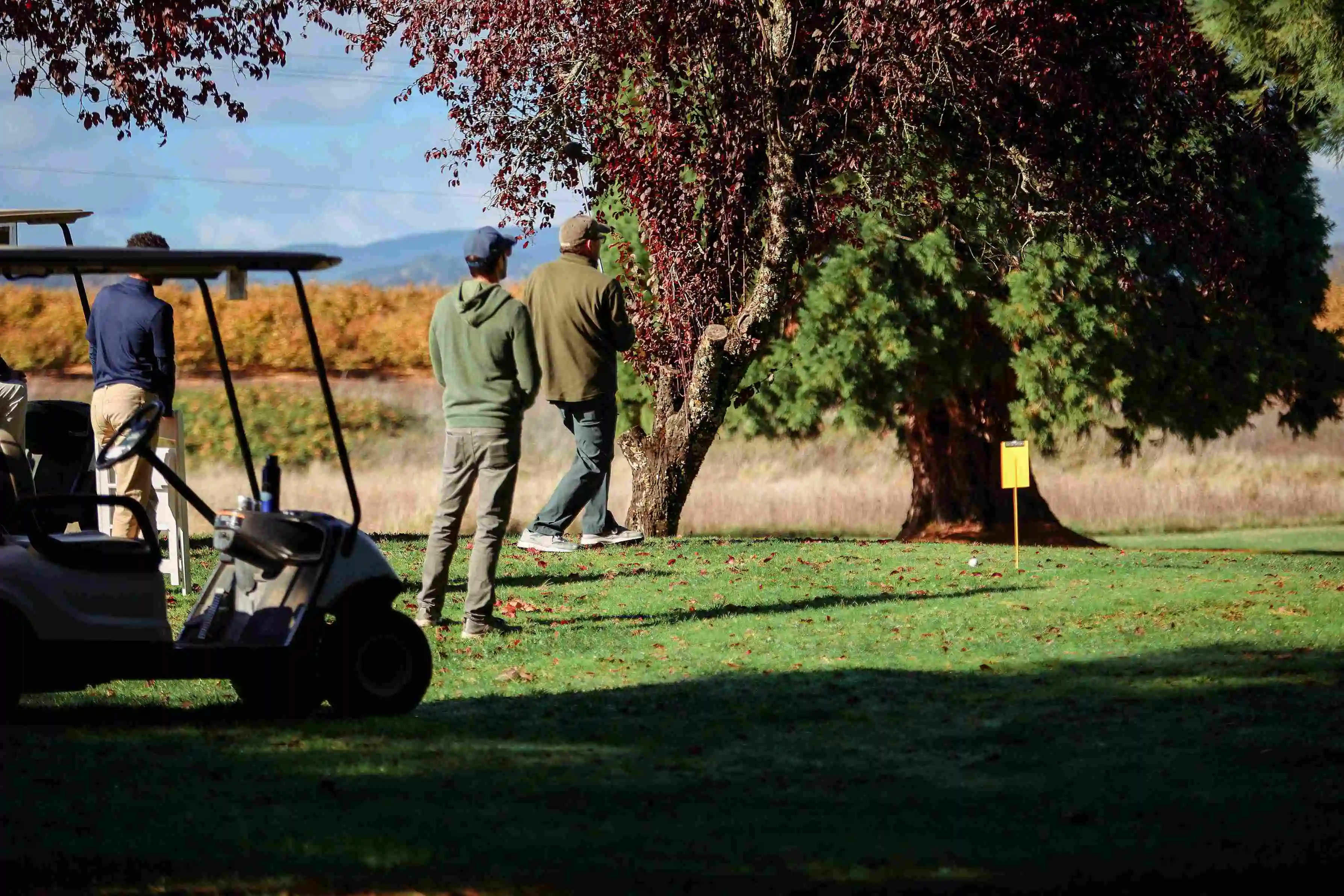 Golfers near trees