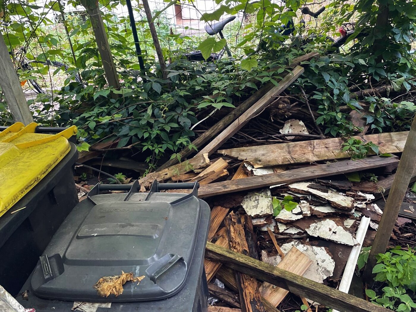 Container für Entrümpelung beladen