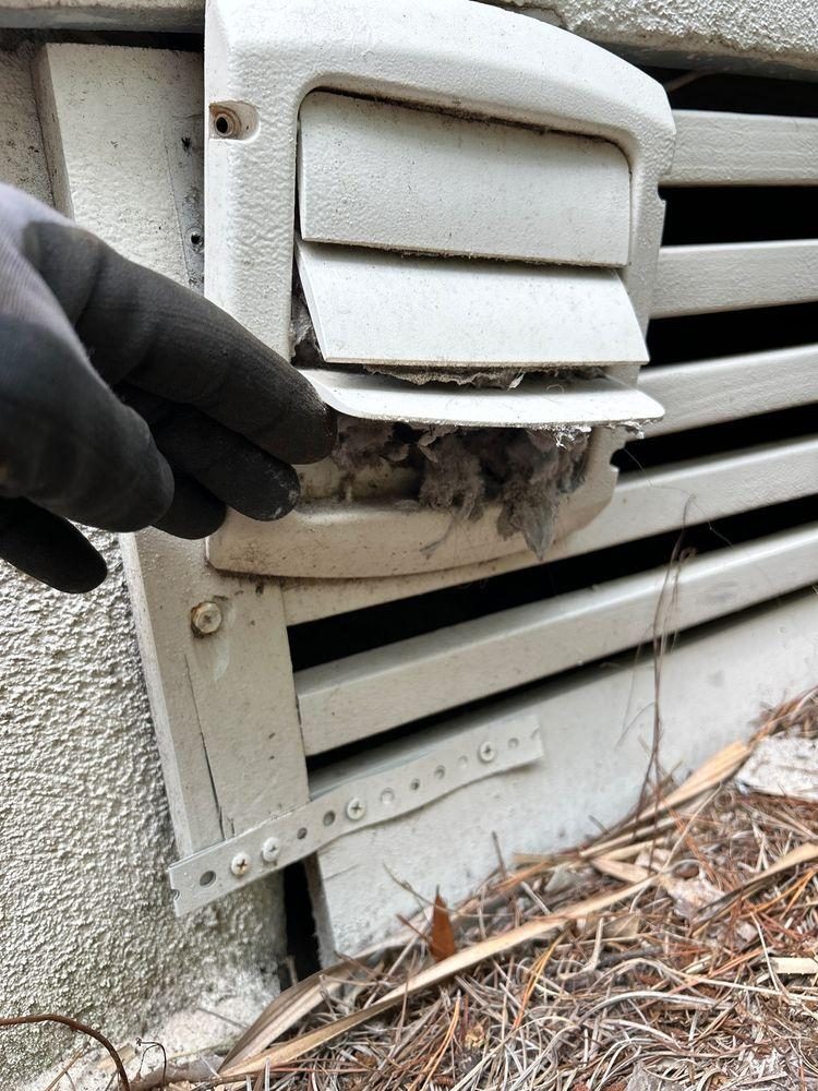 Gloved hand pulling a thick wad of compacted lint out of an exterior dryer vent louver showing significant blockage