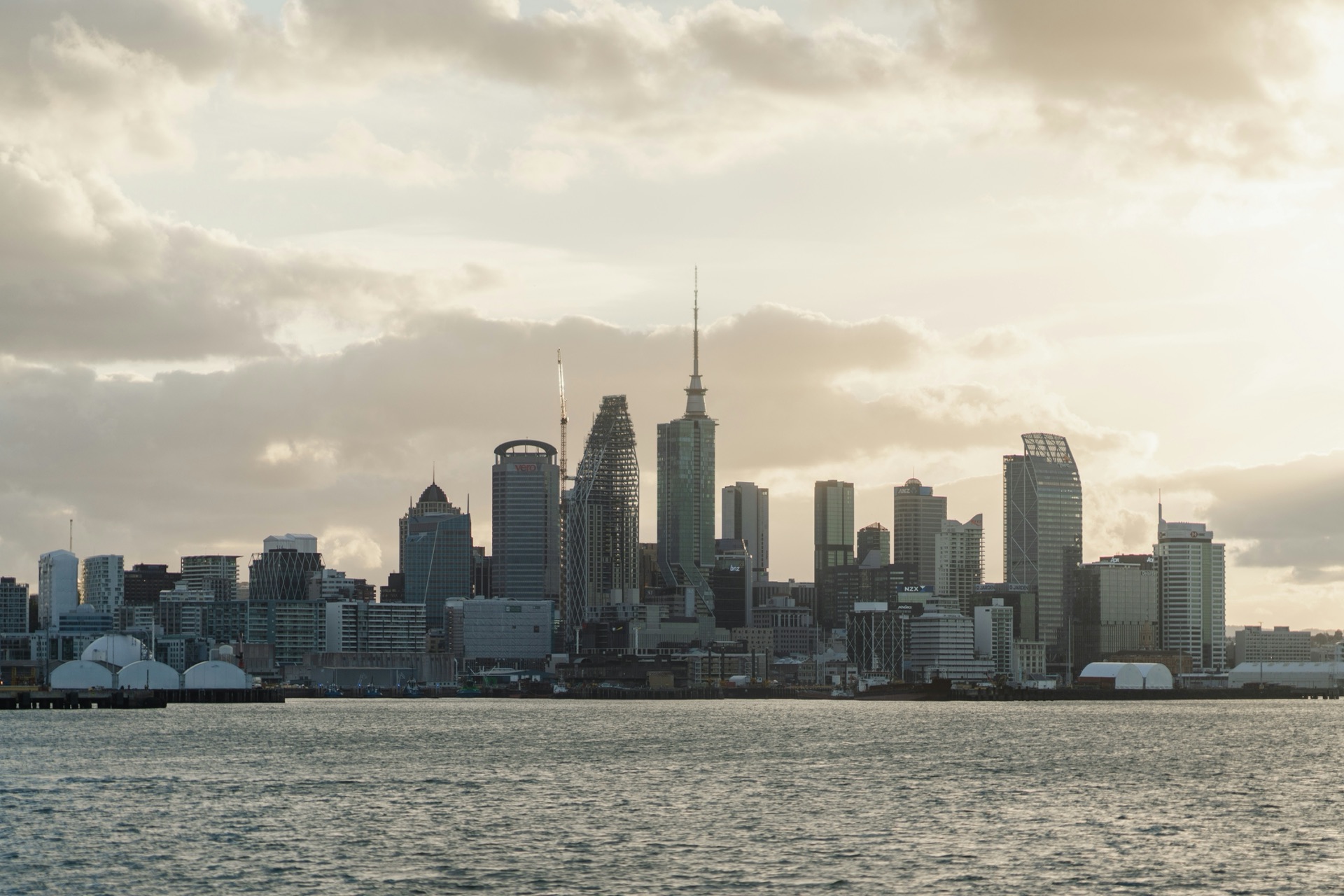 Auckland skyline behind the trusted-by-committees section