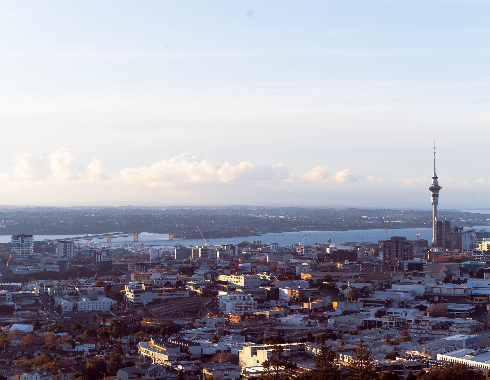 Auckland skyline behind the Powerhouse Management story section