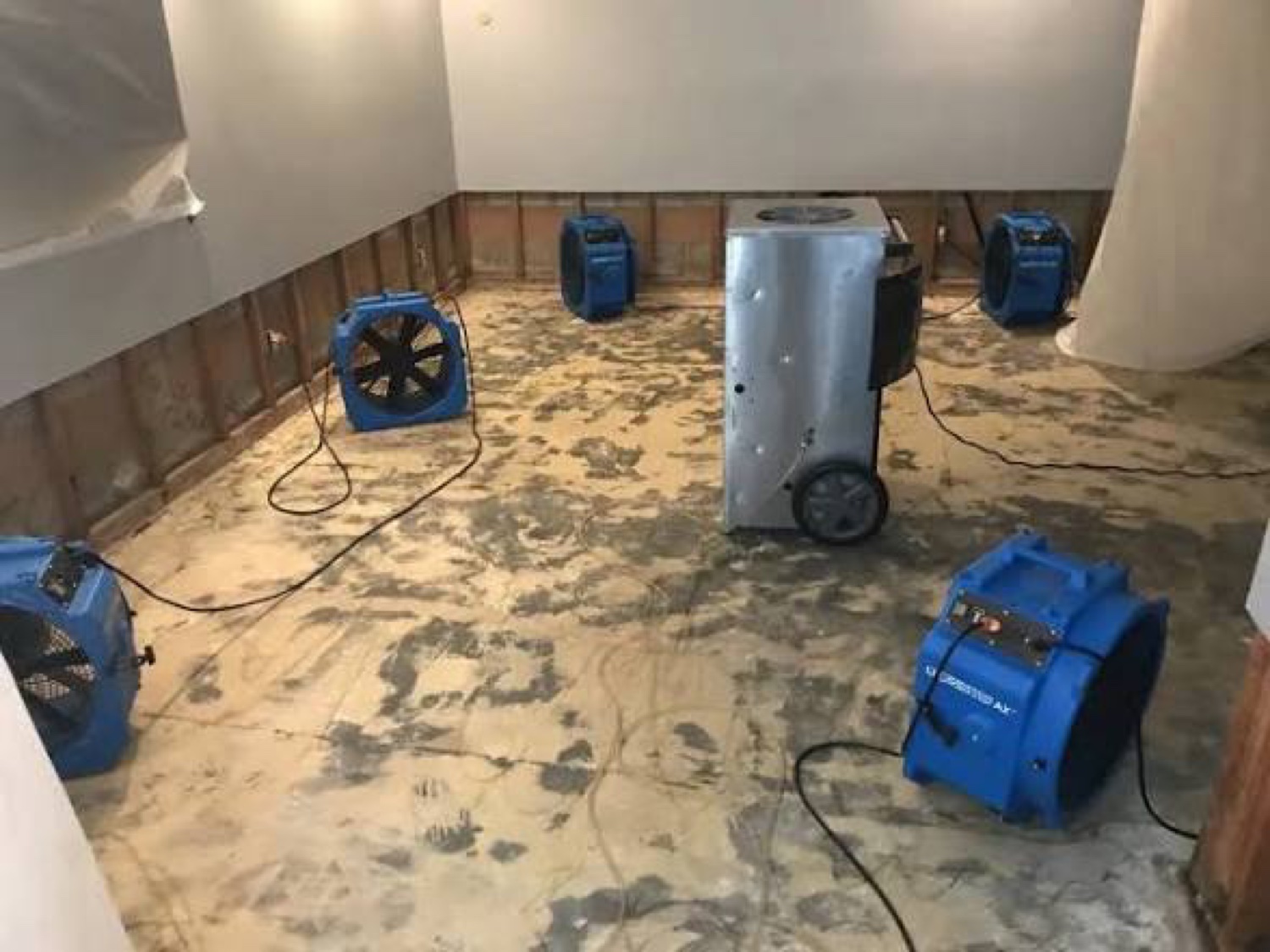 Water damage drying job with air movers and dehumidifiers