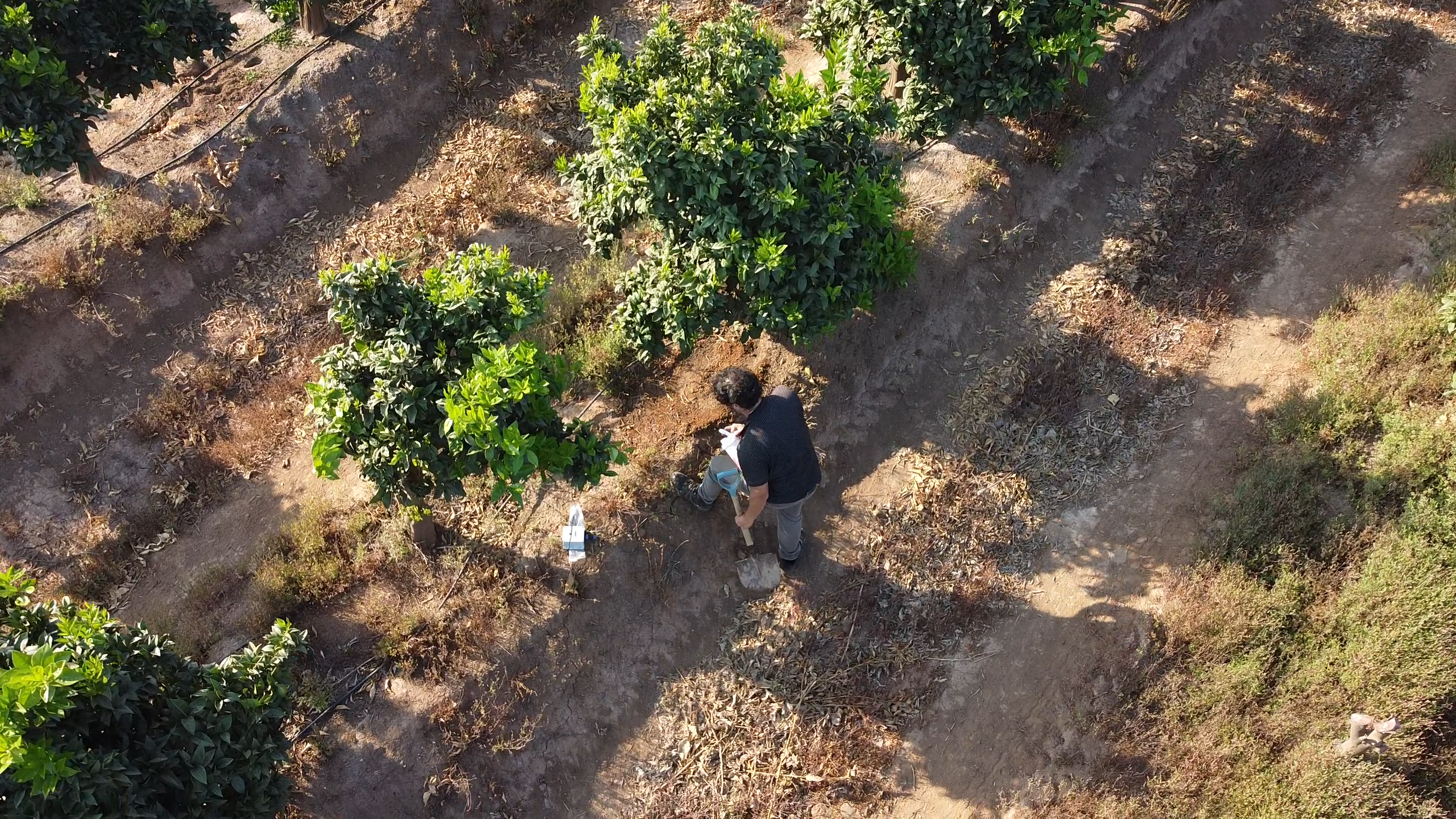 Tecnología IoT en el campo chileno