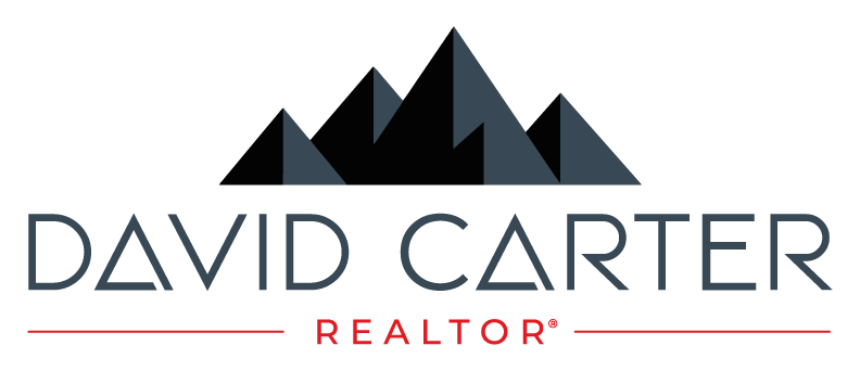 David Carter Realtor