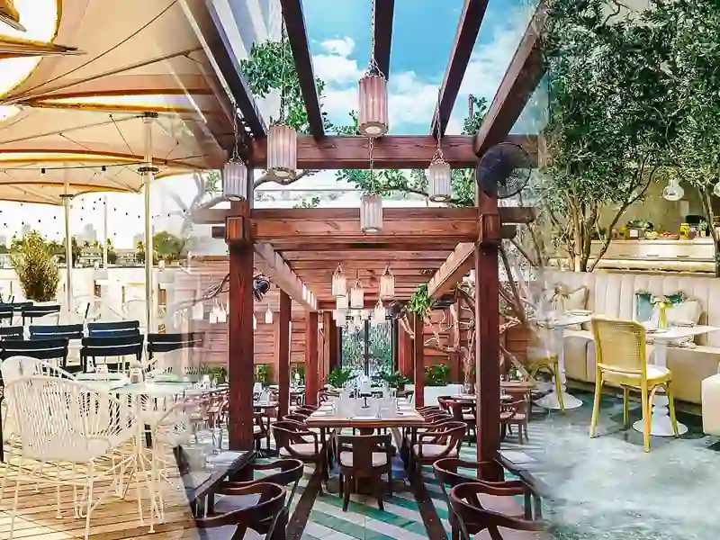 Landscaping & Outdoor in Miami
