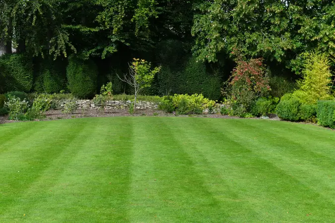  Sod Installation