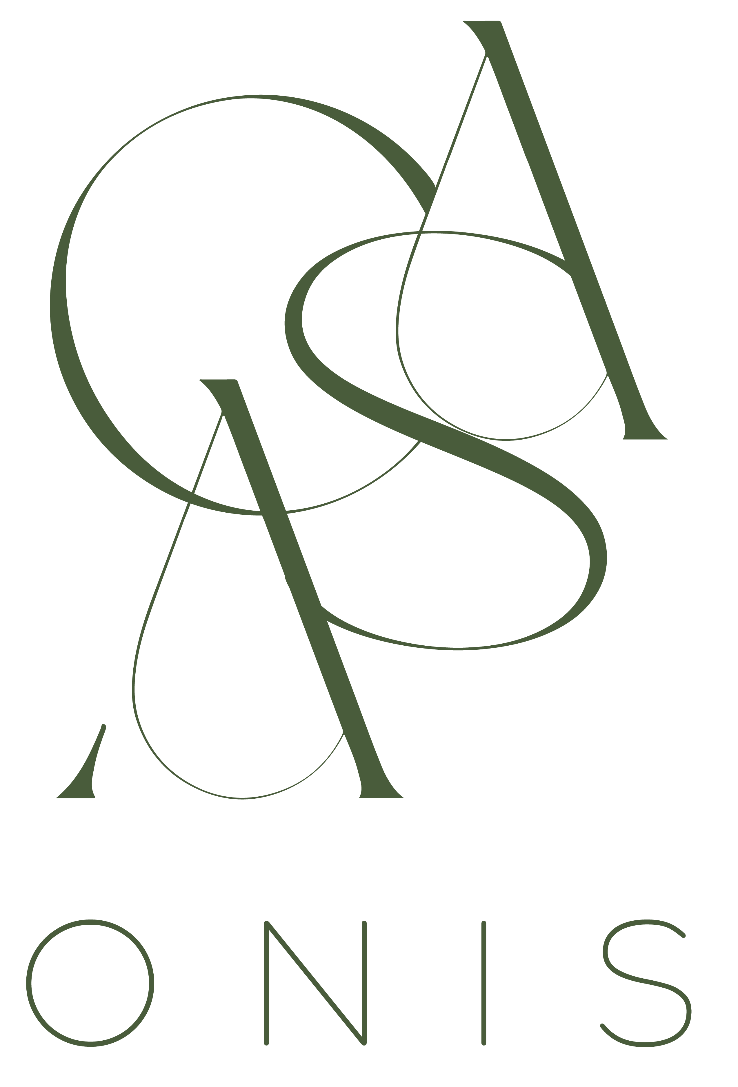 Casa Onis