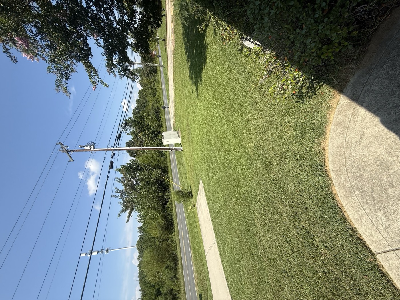 Freshly mowed lawn along the road