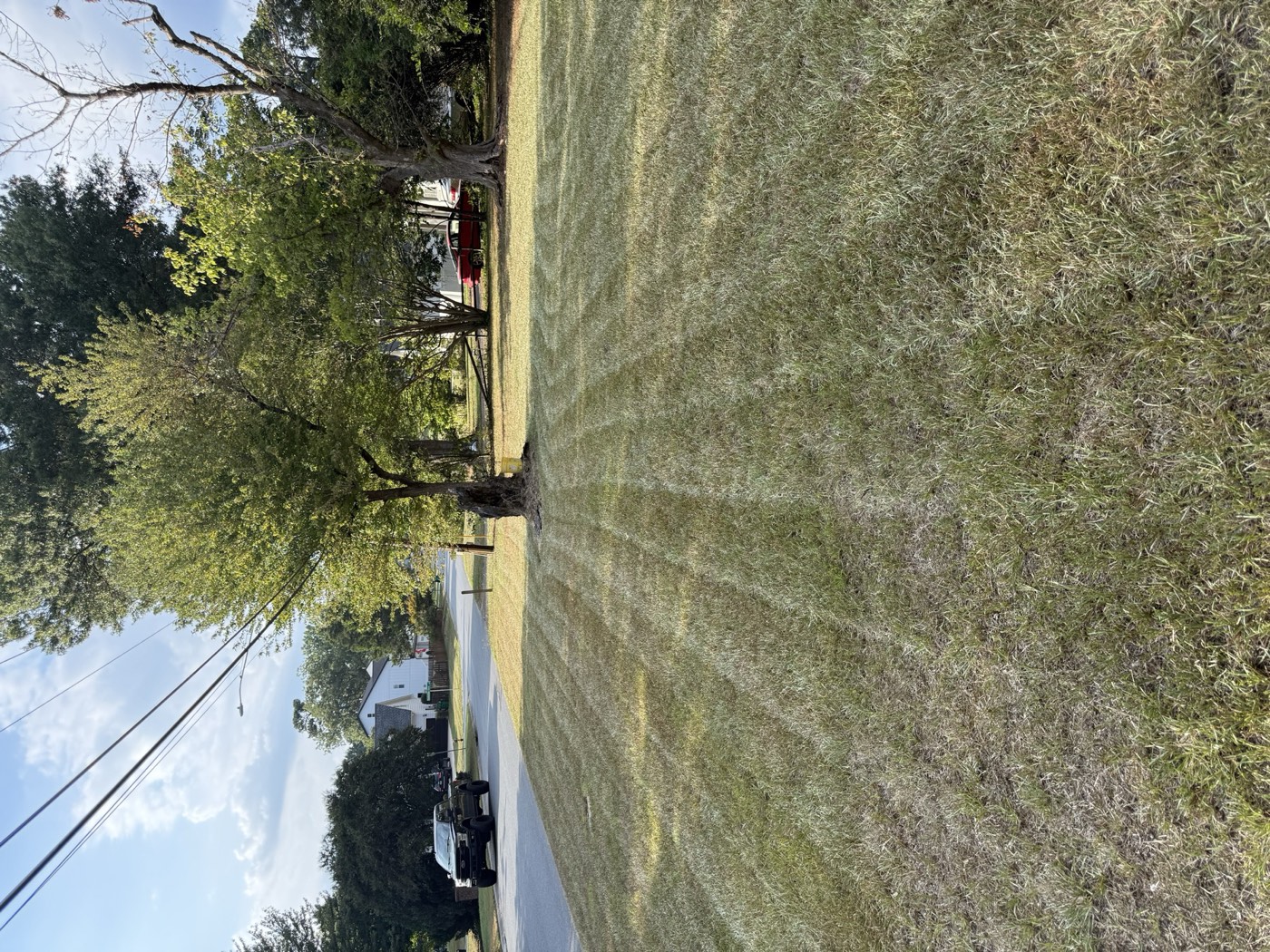 Striped lawn with clean mow lines