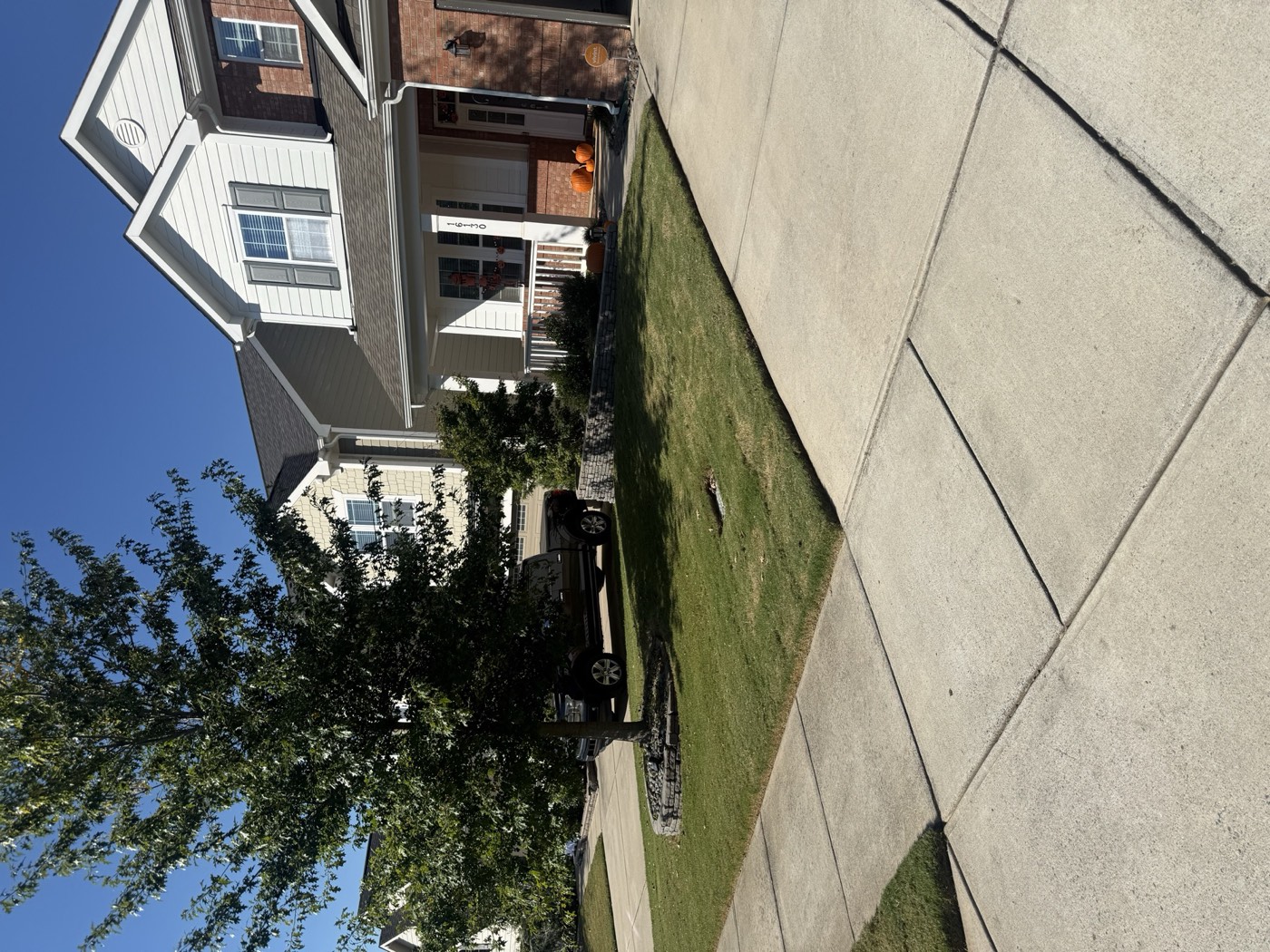 Front lawn with edged sidewalk