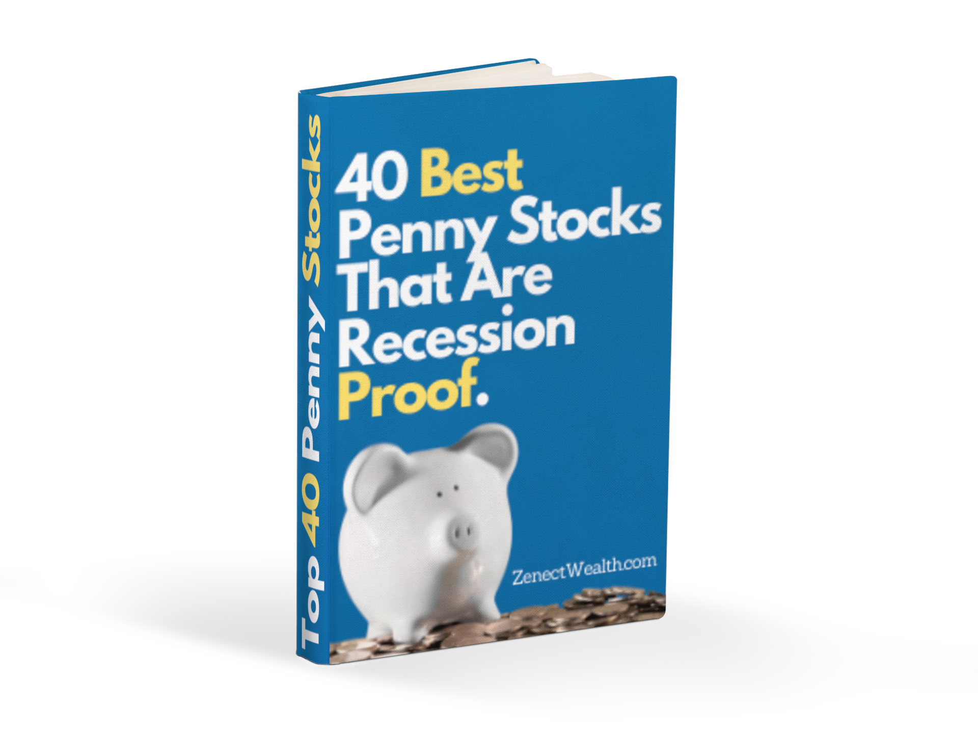 Penny Stock Guide Cover